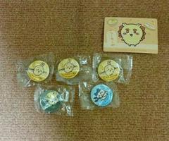 くら寿司　ちいかわ　びっくらポン　缶バッジ　うさぎ ハチワレ くりまんじゅう