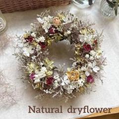 ＊Natural＊スモークツリーとブルーファンタジアのリース☆ドライフラワー
