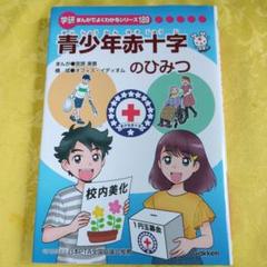 青少年赤十字のひみつ