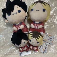 ハイキュー　もちぴこ　BIGぬいぐるみ　マスコット　セット　孤爪研磨　黒尾鉄朗