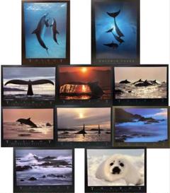 Bob Talbot 80s vintage poster Soleil Bob Talbot 80s vintage poster Soleil