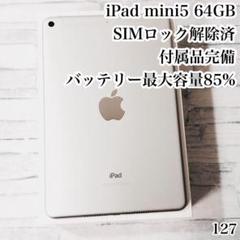 iPad mini5 SIMフリー 64GB 付属品完備　管理番号：127
