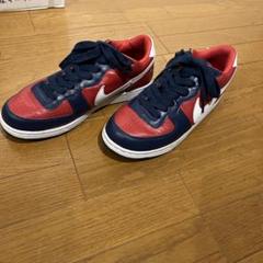 2025年最新】NIKE ZOOM TERMINATORの人気アイテム - メルカリ