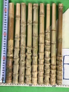 安い布袋竹の通販商品を比較 | ショッピング情報のオークファン