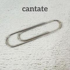 cantate カンタータ シルバー925 マネークリップ 1ldk