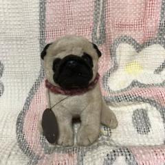 ヒロクンハウス　パグ犬　ぬいぐるみ　中古品 ヒロクンハウス パグ犬 ぬいぐるみ 中古品 - メルカリ