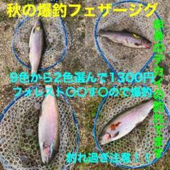 2025年最新】フライロッド オイカワの人気アイテム - メルカリ