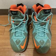 NIKE レブロン　23cm