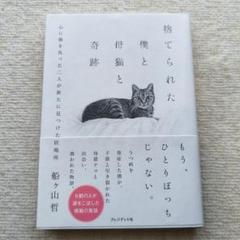 捨てられた僕と母猫と奇跡