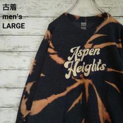 古着 アスペン ハイツ スウェット リメイク ブリーチ タイダイ グレー L