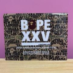 BAPE ×Schuco G550L BAPE XXV  新品未开封 A BATHING APE | [SCHUCO] BAPE XXV 25th Anniversary Mercedes