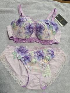 サルート63 【チリ】F65+Tショーツ プッシュアップブラ IV 20%OFF サルート Salute ブラジャー プッシュアップブラ 3/4 BC