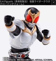 【メルカリ最安値】クウガ展 限定 仮面ライダー クウガ 真骨彫製法 フィギュア S.H.Figuarts（真骨彫製法）超古代戦士クウガ - メルカリ