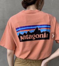 パタゴニア レスポンシビリティー Tシャツ 新品未使用