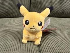 ぬいぐるみ　Pokemon fit ピカチュウ