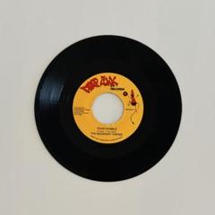 THE IMAGINARY VISIONS / TEXAS RUMBLE