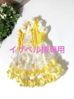 犬服ハンドメイド♡あいちゃん♡ひまわり2着 cb-935_coordinate01.jpg