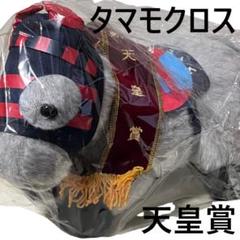 サトノクラウン アイドルホース 競馬 ぬいぐるみ AVANTI ウマ娘 新品H ターフィーショップ_JRA競馬グッズ on X: 