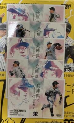 BBM阪神タイガースベースボールカード2025
