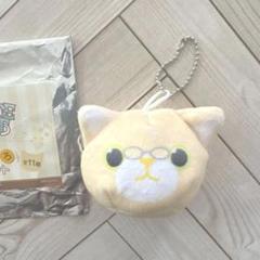 2025年最新】ミニプリンスキャット シトロンの人気アイテム