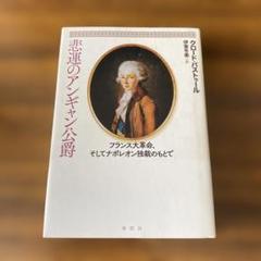 ナポレオンの胸像 マルメゾン城所蔵オリジナルからの複製 真正性証明書付き ナポレオンの胸像 マルメゾン城所蔵オリジナルからの複製 真正性