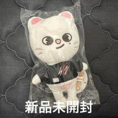 2025年最新】straykids チャンビン ぬいぐるみの人気アイテム