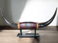 レトロ 水牛の角 専用台付き 縁起物 床の間飾り インテリア 置物 オブジェ Amazon.co.jp: 黄龍 樹脂製貴族龍黄龍○八角形台座○木札 1番