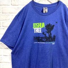 THE NORTH FACE Tシャツ US古着 XL メンズ 1854