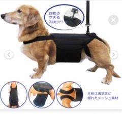 犬用 コルセットの中古 未使用品を探そう メルカリ 犬用 コルセットの中古 未使用品を探そう メルカリ