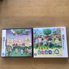 ニンテンドーDSとケースとどうぶつの森 m70862141162_1.jpg?1721269020