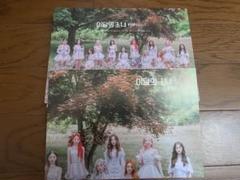 LOONA アルバム　CD まとめ売り 61RQUhvJ+5L._UF350,350_QL50_.jpg