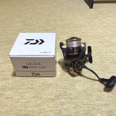 DAIWA18カルディアLT4000CXH　Đức Danh専用 ダイワ カルディア LT4000-CXHをレビュー！クチコミ・評判をもと