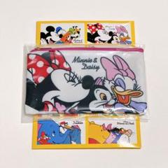 ディズニー ストア シークレットポーチ フラット ミニー デイジー フィガロ