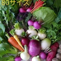 野菜詰め合わせ
