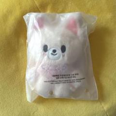 straykids skzoo ぬいぐるみ　アイエン　まとめ売り Stray Kids - FoxI.Ny フォクシニー アイエン ぬいぐるみ ミニの