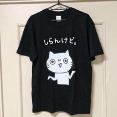 しらんけどTシャツ L 黒 ネコプリント 男女兼用 面白系 コットン100％