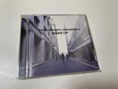 新品ケース交換済み　エレファントカシマシ　CD19枚セット 新品ケース交換済み エレファントカシマシ CD19枚セット 邦楽