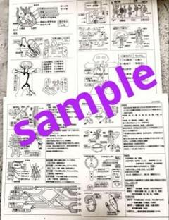 値下☆現品発送☆看護師国家試験対策　付箋ノート250枚＋160枚＋ファイルセット 大人気現品発送☆看護師国家試験対策 付箋ノート250枚＋160枚＋