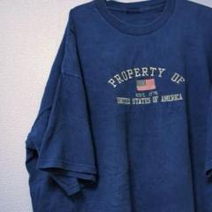 PROPERTY OF USA 刺繍　ヴィンテージ　メンズ　Tシャツ　ネイビー