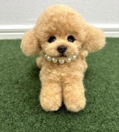 羊毛フェルト　伏せポーズトイプードルちゃん