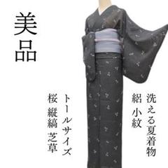 m1607＊美品 洗える夏着物 絽 桜 縦縞 芝草 トールサイズ 小紋