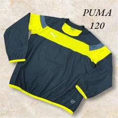 PUMA ピステ・ウィンドブレーカー 黒/黄色 2025年最新】プーマ ピステ・ウィンドブレーカーの人気アイテム