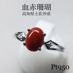 Pt950 血赤珊瑚 デザインリング 13号 土佐沖産 土佐沖産血赤サンゴ3ct プラチナダイヤリング | BS日テレSHOP