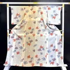 6-117 夏物 小紋 正絹 絽