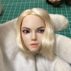 B49 1/6 フィギュア用 ヘッド 植毛タイプ アクセサリー 交換用