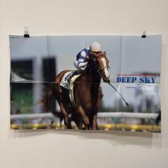 【レア】日本ダービー ポスターフレーム 5.30 東京競馬場 レア】日本ダービー ポスターフレーム 5.30 東京競馬場 額縁