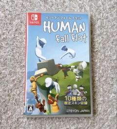 HUMAN Fall Flat ヒューマンフォールフラット カセット