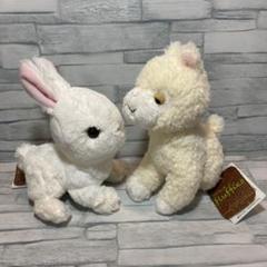 アルパカテディベア　うさぎ　ぬいぐるみ モフうさぎ🐰入荷しました〜 ベビーアルパカの毛で作られた