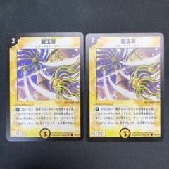 22838 碧玉草 エメラルドグラス 初期 2枚セットのサムネイル
