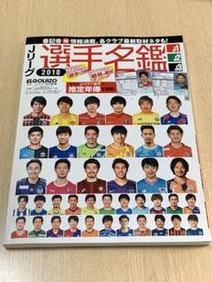 日刊スポーツ Jリーグ選手名鑑　セット プロ野球選手カラー名鑑2025 | 日刊スポーツ |本 | 通販 | Amazon